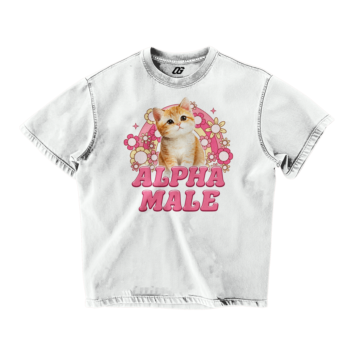 ALPHA MALE OVERSIZED T-SHIRT